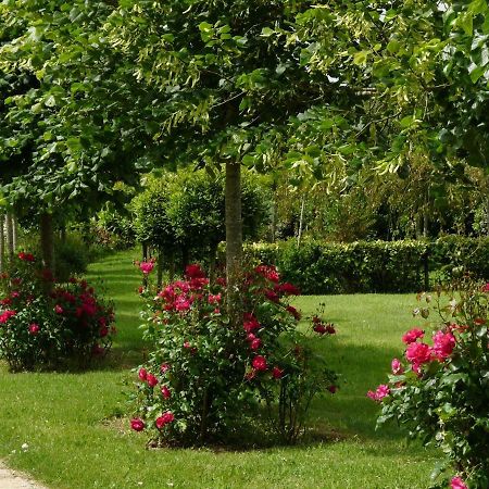Gite Le Logis - Manoir Le Plessix Madeuc Corseul Eksteriør billede